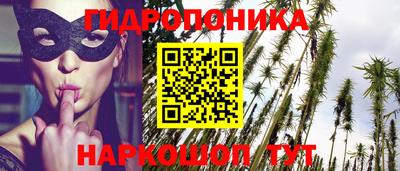 МДПВ Партизанск