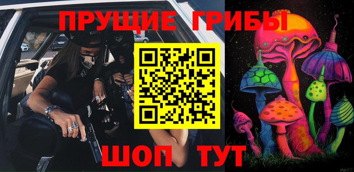 Псилоцибиновые грибы Psilocybe  Вход с VPN  Реутов 